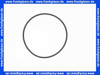 11120123 ABS Sulzer O-Ring