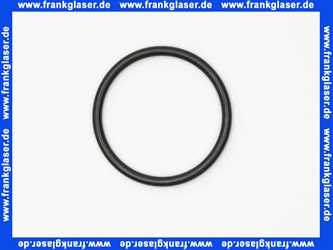 11120318 Abs Dichtung Dichtring O-Ring