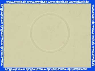 127024 Blanco Teflonring Gleitring