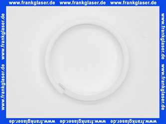 139540 Blanco Teflonring