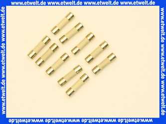 Bosch Sicherung T2,5A (10x) 19045213420