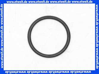 Bosch O-Ring 70x3 (2x) 7101416