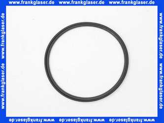 Bosch 7736700058 Lippendichtung DN125