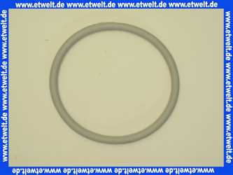 Bosch O-Ring 160x10 7747007986