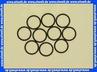 Bosch 87102050560 O-Ring (10x)