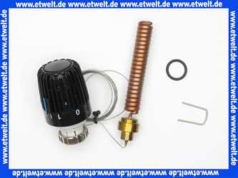 654111 Brötje Thermostat TWW-Modul MPS