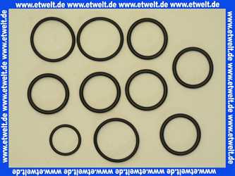 5354969 Buderus Dichtungssatz O-Ring V1