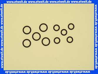 7099018 Buderus O-Ring Set Gasdüse