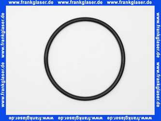 87185725380 Buderus O-Ring 120,02x6,99-N