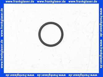 1181544 BWT O-Ring Dichtung Dichtring