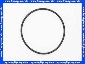 Dornbracht O-Ring Ersatzteile 091410023 52,0 x 2,0 mm 09141002390