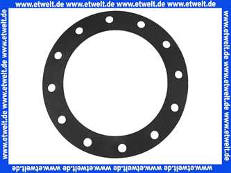 12085895 ELCO Dichtung für Flanschdeckel D280 mm