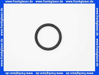 361789001 Geberit PE Rundschnurring di49x6