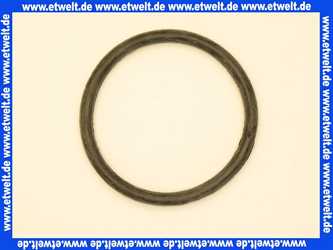 367988001 Geberit PE Rundschnurring di92x8