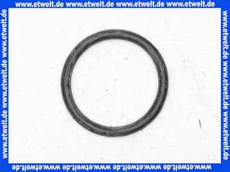 36276900 Geberit O-Ring für Spuelrohr zu UP- Spuelkasten