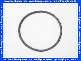 85397000 Geberit Rundschnurring PE-HD f Reinigung di157x8