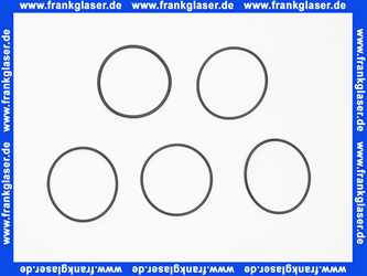 0014900M Grohe Rundringdichtungen (5 Stück)