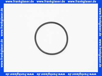 42836000 Grohe O-Ring 42836 für Tectron und Tipptronic 1 Stück