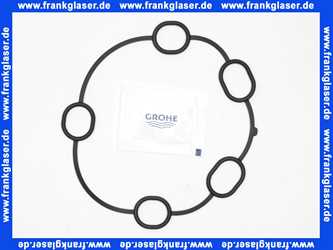 Grohe Dichtung 48360 48360000