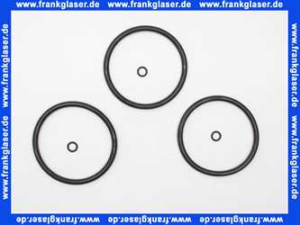 1 Grünbeck Dichtungssatz für Geno Feinfilter FS 1 1/4 - 2 100002