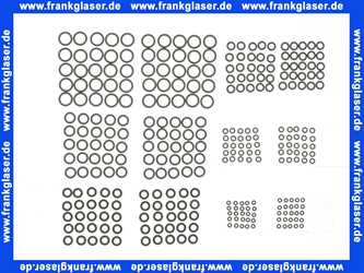 187682050001 Grünbeck O-Ringe für Injektor zu GSX 5, 10, 10-I, plus, softliQ 50 Stück