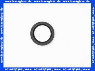 53971000 Hans Grohe Dichtung DN32