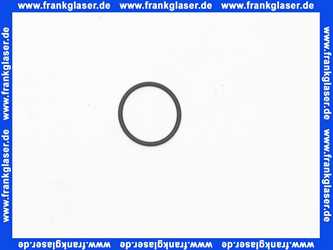 92321000 Hansgrohe Dichtring O-Ring Dichtung 12 x 1mm