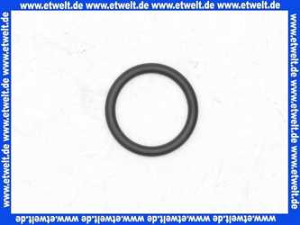 92481000 Hansgrohe Dichtring O-Ring Dichtung 11 x 3mm