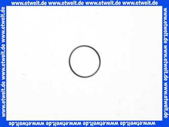 92542000 HansGrohe Dichtung O-Ring Dichtrichtring