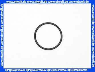 92634000 Hans Grohe O-Ring Thermostat DN20