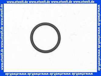 92738000 Hans Grohe O-Ring Dichtung 29x1,5mm