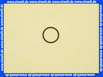 95169000 Hansgrohe O-Ring Dichtung 21,95 x 1,78mm