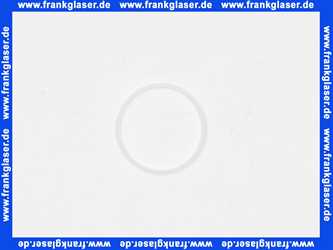 97536000 Hans Grohe Gleitring