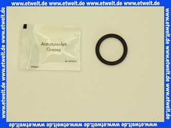 97675000 hansgrohe A-Ring 23,3 x 30 x 3,5