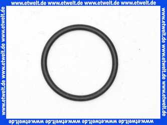 98066000 Hans Grohe O-Ring 36x3,5