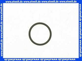 98128000 Hans Grohe O-Ring 13x2mm