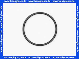 98169000 Hans Grohe O-Ring 41 x 2,5