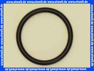 98174000 Hans Grohe O-Ring 48x5