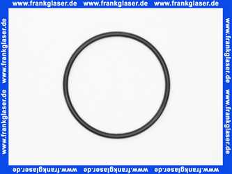 98178000 Hansgrohe O-Ring 56 X 3