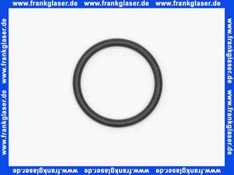 98181 Hans Grohe Dichtung