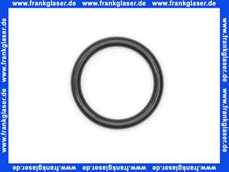 98182000 Hans Grohe O-Ring 21x3mm