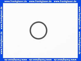 98185000 Hans Grohe O-Ring 22x2mm