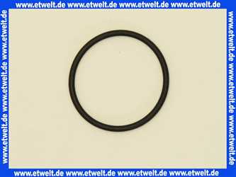 98190000 Hans Grohe O-Ring Dichtung