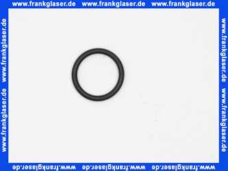 98204000 Hans Grohe O-Ring Dichtung 31x2mm