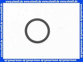 98396000 Hans Grohe O-Ring Dichtung 38x2mm