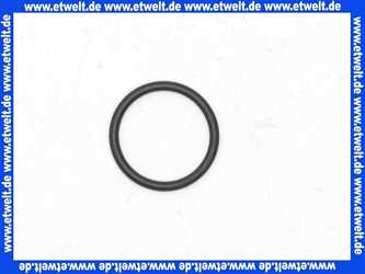 98399000 Hans Grohe O-Ring Dichtung 40x2,5mm