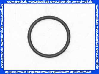 98421000 Hans Grohe O-Ring Dichtung 28x1,5mm