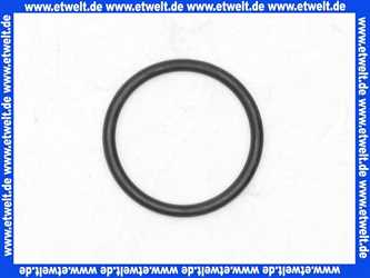 98425000 Hans Grohe O-Ring Dichtung 60x2,5mm