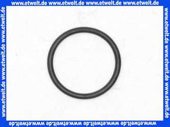 98432000 Hans Grohe O-Ring Dichtung 45x2,5mm