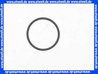 98433000 Hans Grohe O-Ring Dichtung 30x1,5mm